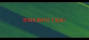 狗狗生病时打了疫苗