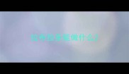 拉布拉多能做什么