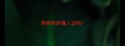 狗狗听的懂人话吗