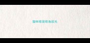 猫咪眼屎眼角脱毛