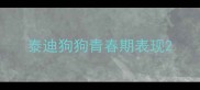 泰迪狗狗青春期表现