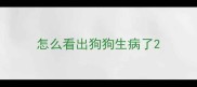 怎么看出狗狗生病了