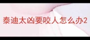 泰迪太凶要咬人怎么办