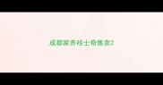 成都家养哈士奇售卖