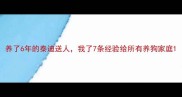 养了6年的泰迪送人我了7条经验给所有养狗家庭