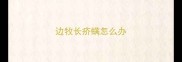 边牧长疥螨怎么办