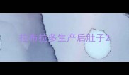 拉布拉多生产后肚子