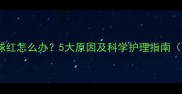 拉布拉多白眼球红怎么办5大原因及科学护理指南附急救方法