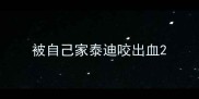 被自己家泰迪咬出血