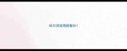 哈尔滨宠物脱敏针