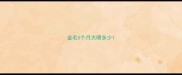 金毛5个月大喂多少