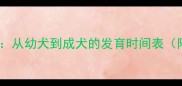 哈士奇成长全周期从幼犬到成犬的发育时间表附科学养护指南