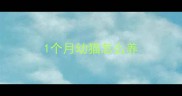 1个月幼猫怎么养