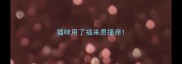 猫咪用了福来恩搔痒