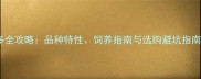 美国波多马克拉布拉多全攻略品种特性饲养指南与选购避坑指南附最新养护数据