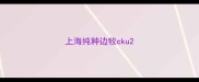 上海纯种边牧cku