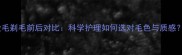 金毛剃毛前后对比科学护理如何选对毛色与质感
