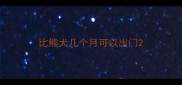 比熊犬几个月可以出门