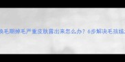 边牧换毛期掉毛严重皮肤露出来怎么办6步解决毛孩尴尬期