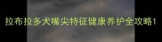 拉布拉多犬嘴尖特征健康养护全攻略