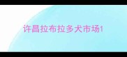 许昌拉布拉多犬市场