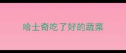 哈士奇吃了好的蔬菜