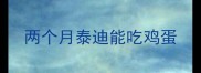 两个月泰迪能吃鸡蛋