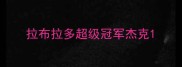 拉布拉多超级冠军杰克