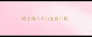 哈士奇八个月发育不良