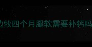 边牧四个月腿软需要补钙吗