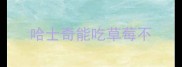 哈士奇能吃草莓不