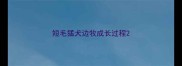 短毛猛犬边牧成长过程