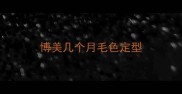 博美几个月毛色定型