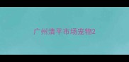 广州清平市场宠物