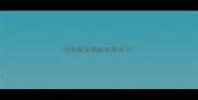 拉布拉多狗能长多大个