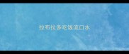 拉布拉多吃饭流口水