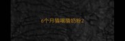 6个月猫喝猫奶粉