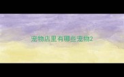 宠物店里有哪些宠物