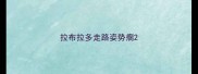 拉布拉多走路姿势瘸