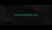 大狗老是咬新来的小狗