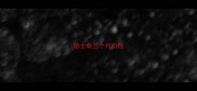 哈士奇三个月价钱