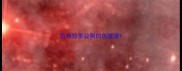 拉布拉多公狗白色脓液