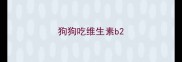 狗狗吃维生素b2