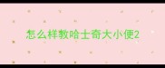 怎么样教哈士奇大小便