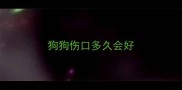 狗狗伤口多久会好