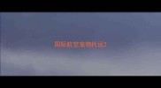 国际航空宠物托运