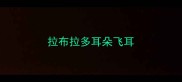 拉布拉多耳朵飞耳