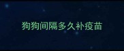 狗狗间隔多久补疫苗