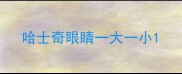 哈士奇眼睛一大一小