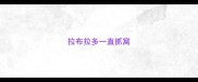 拉布拉多一直抓窝